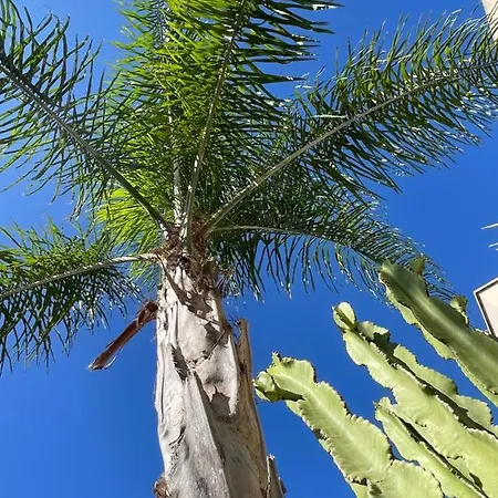 Ancora Del Salento Nyaraló *