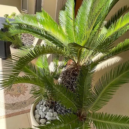 Nyaraló Ancora Del Salento *