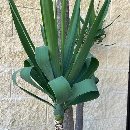 Сasa de vacaciones Ancora Del Salento Lecce