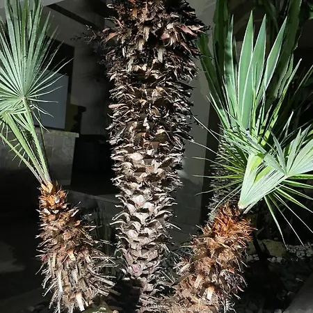 Nyaraló Ancora Del Salento *