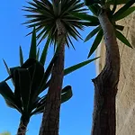 Ancora Del Salento 度假居 莱切