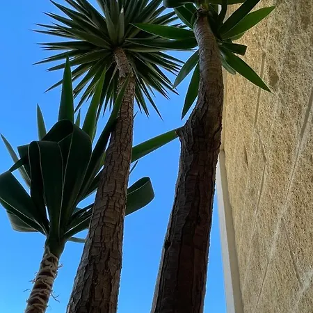Ancora Del Salento