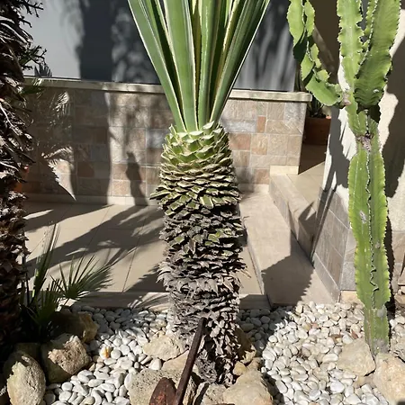 Ancora Del Salento بيت للعطل