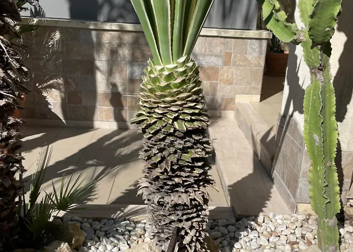 Ancora Del Salento 펜션